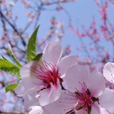 云开·全站APPkaiyun